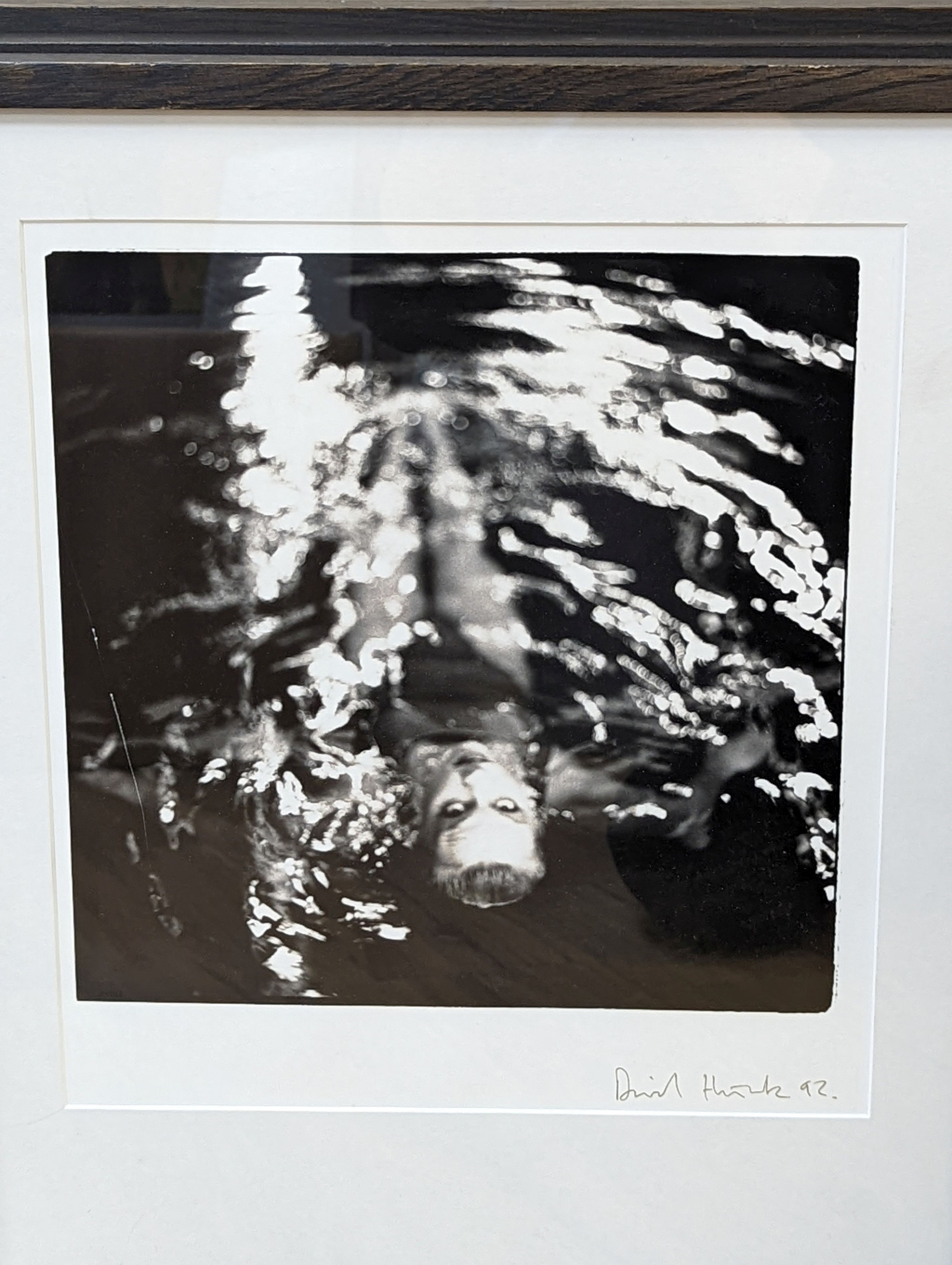 Seven assorted near contemporary black and white photographs